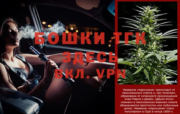 стафф Дмитровск