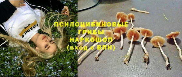 героин Дмитриев