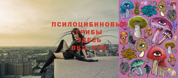 стафф Дмитровск