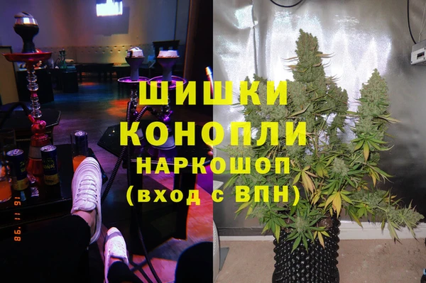 стафф Дмитровск