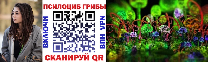 Купить закладки  Бежецк  Псилоцибиновые грибы Psilocybine cubensis 