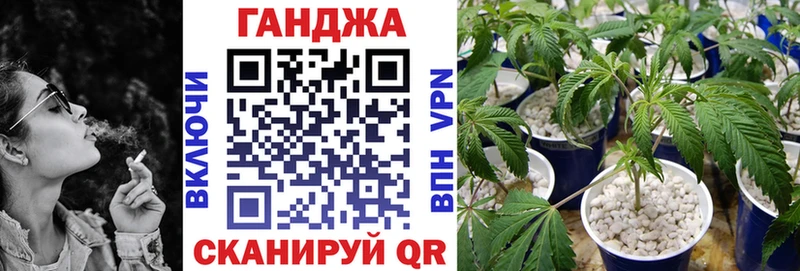 Купить закладки  Бежецк  Шишки марихуана THC 21% 